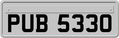 PUB5330