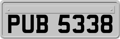 PUB5338