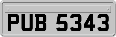 PUB5343