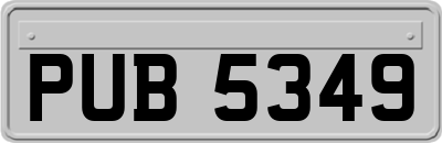 PUB5349