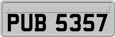PUB5357
