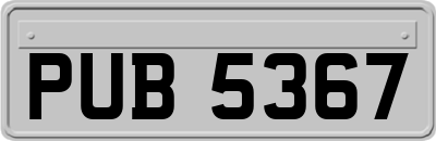 PUB5367