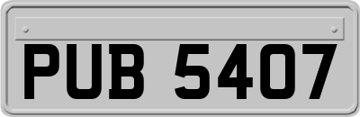 PUB5407