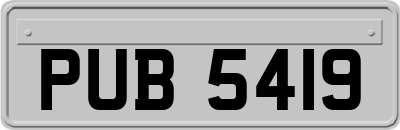 PUB5419