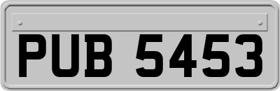 PUB5453