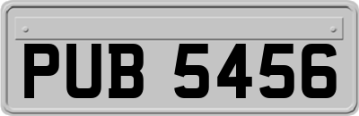 PUB5456
