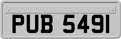 PUB5491