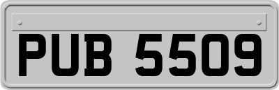 PUB5509