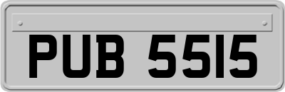 PUB5515