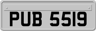PUB5519