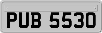 PUB5530