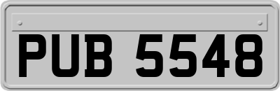 PUB5548