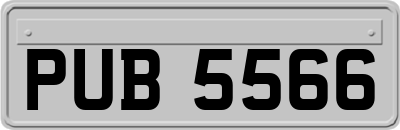 PUB5566