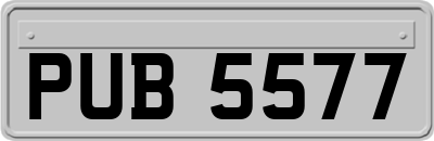 PUB5577