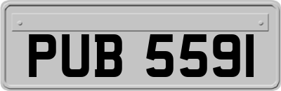 PUB5591