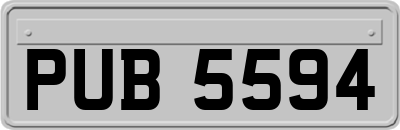 PUB5594