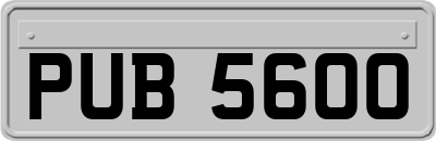 PUB5600