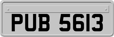 PUB5613