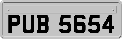 PUB5654