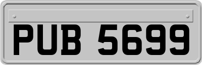 PUB5699