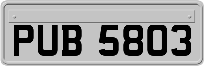 PUB5803