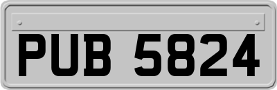 PUB5824