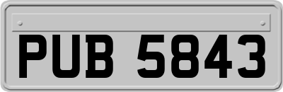 PUB5843