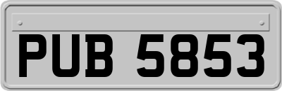 PUB5853