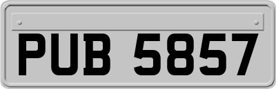 PUB5857