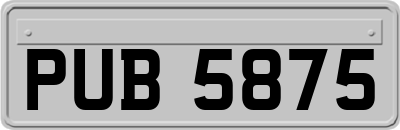 PUB5875