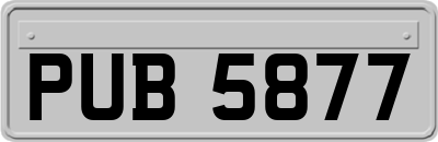 PUB5877