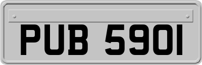 PUB5901