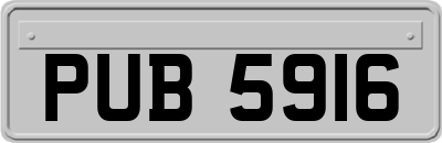 PUB5916