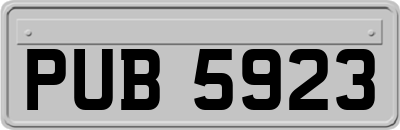 PUB5923