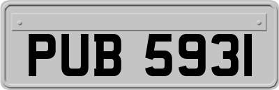 PUB5931