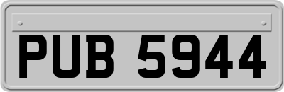 PUB5944