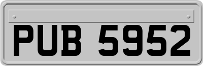 PUB5952