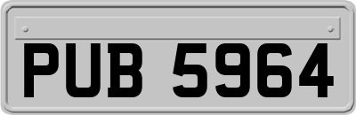 PUB5964