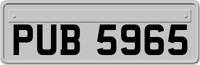 PUB5965