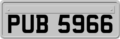 PUB5966