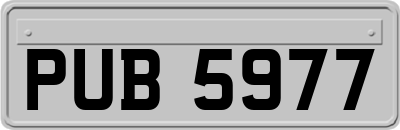 PUB5977