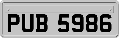 PUB5986