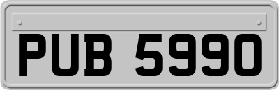 PUB5990
