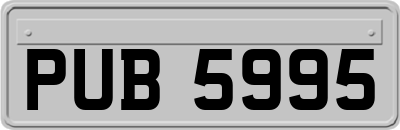 PUB5995