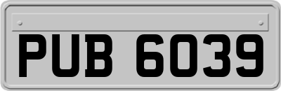 PUB6039