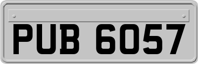 PUB6057