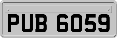 PUB6059