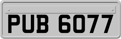 PUB6077