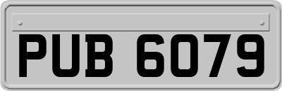 PUB6079