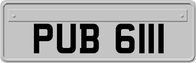 PUB6111